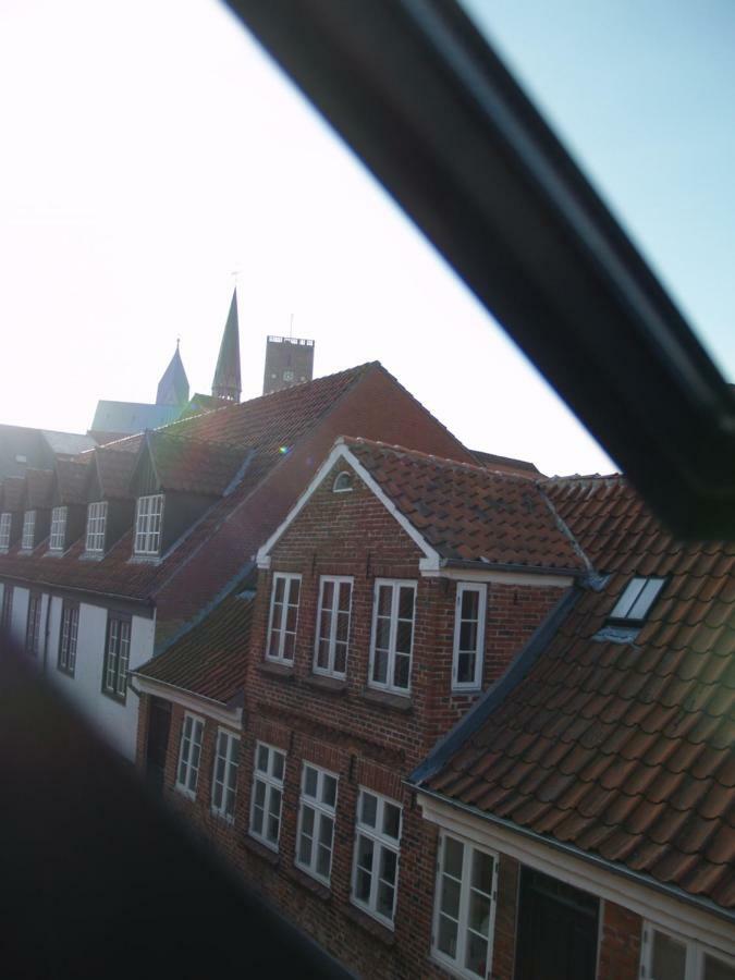 Villa Peder Dovns Slippe à Ribe Extérieur photo
